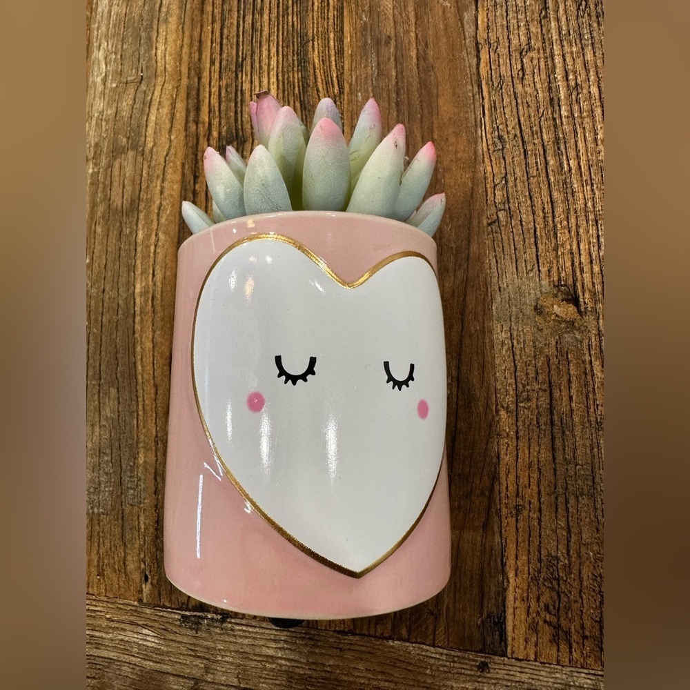 Pink Heart Face Planter with Succulent